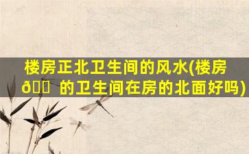 楼房正北卫生间的风水(楼房 🐠 的卫生间在房的北面好吗)